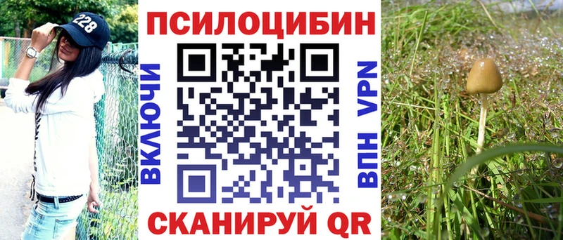 mega ТОР  Баксан  Галлюциногенные грибы мицелий 